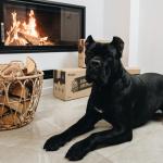 Malka, Ozols, 17L kartona kaste 2